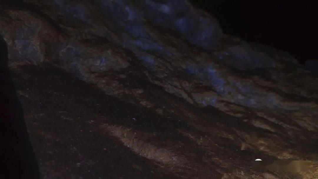 南瓜怎么煮好吃